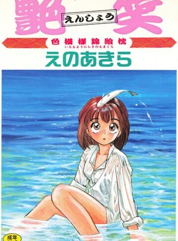 艶笑 色模様錦絵枕【単行本❤えのあきら】評価