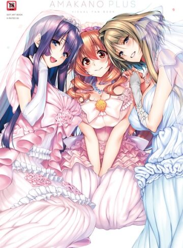 アマカノ＋ ビジュアルファンブック【単行本❤ピロ水】評価5.00