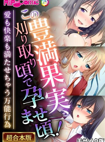 超合本シリーズ モザイク版【単行本❤BENETTY】評価
