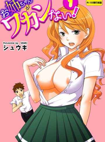 お姉ちゃんがワカンない！【R-18単行本版】【フルカラー❤シュウキ】評価