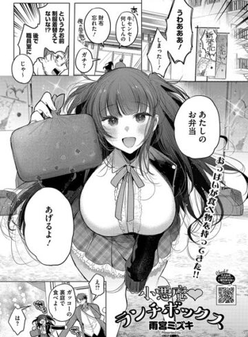 小悪魔ランチボックス（単話）【単話❤雨宮ミズキ】評価
