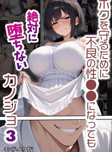 ボクを守るために不良の性●●になっても絶対に堕ちないカノジョ モザイク版【単行本❤バベル太郎】評価