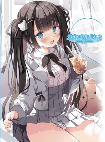 貴方と結ばれる 〜Before Marriage、After Marriage〜【フルカラー❤うりぼうざっか店】評価