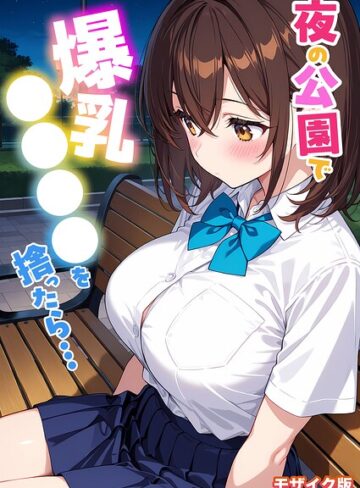 夜の公園で爆乳●●●●を拾ったら… モザイク版【フルカラー❤StudioSR】評価